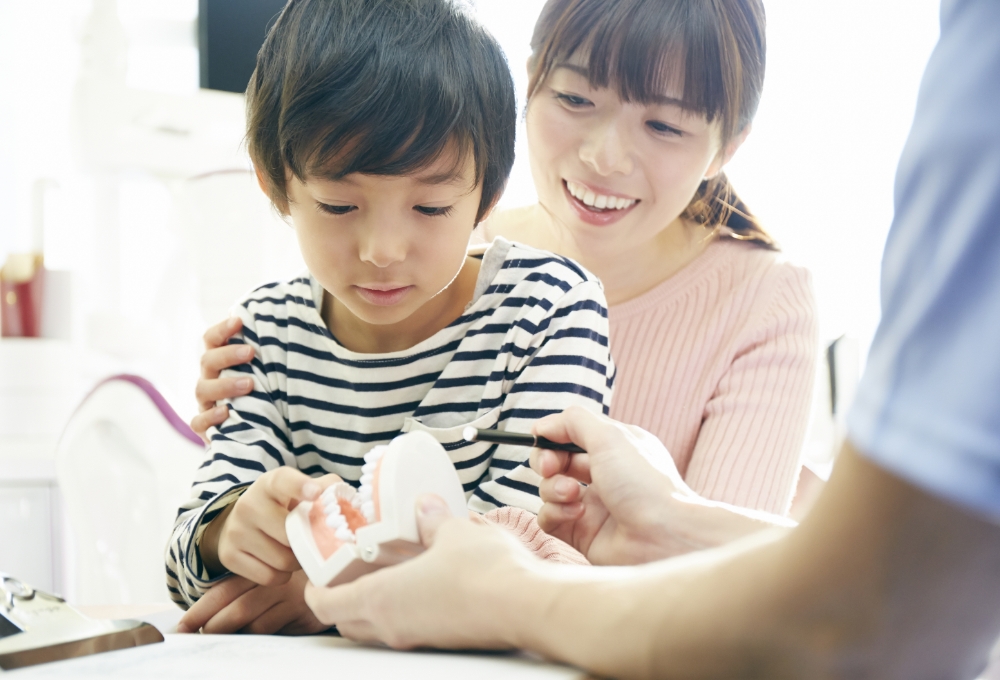 どのようなアドバイス